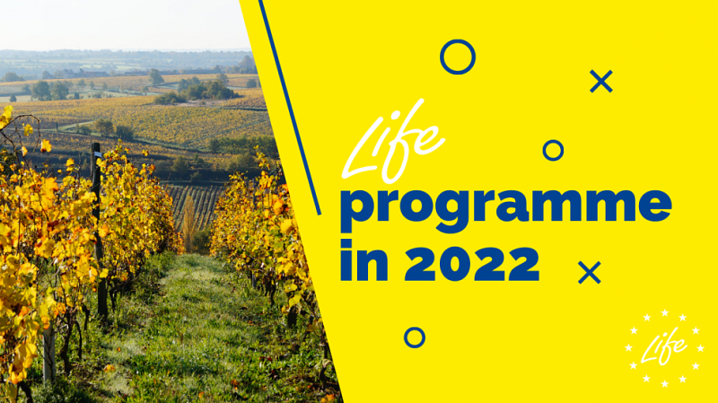 A LIFE program 2022-re vonatkozó tervei
